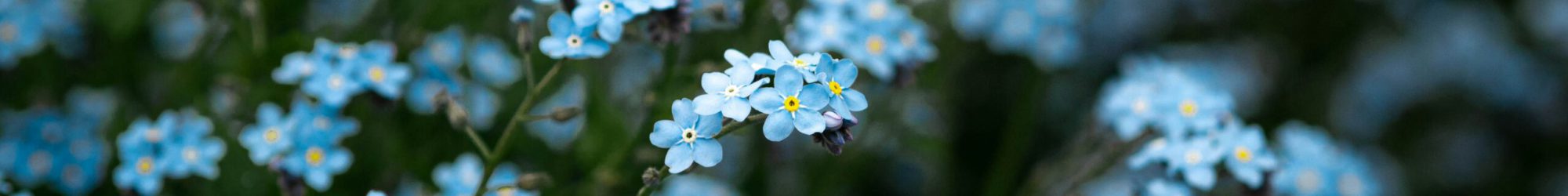 kat-banachowicz-IL6jToy0XYg-unsplash